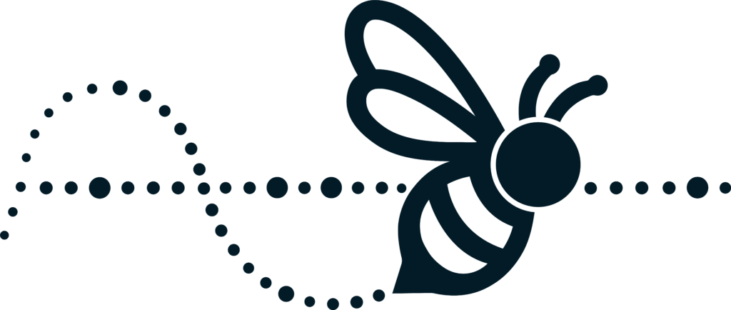 Das Logo von APIS Design, dem Webdesigner der Seite